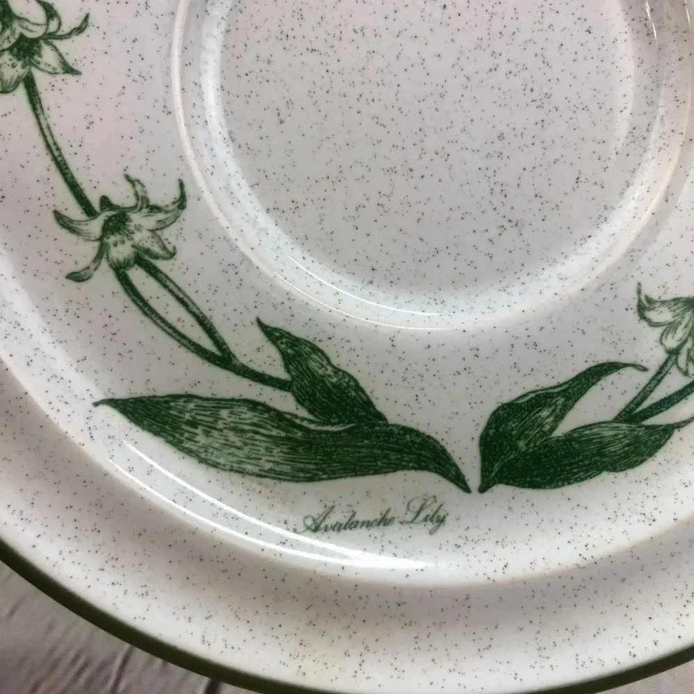vintage Mountain Flowers Green by NORITAKE bundle choice of bowl or plate